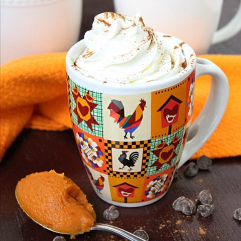 Pumpkin Pie Hot Cocoa #hotcocoa #hotchocolate #pumpkinpie #pumpkin #tableforsevenblog