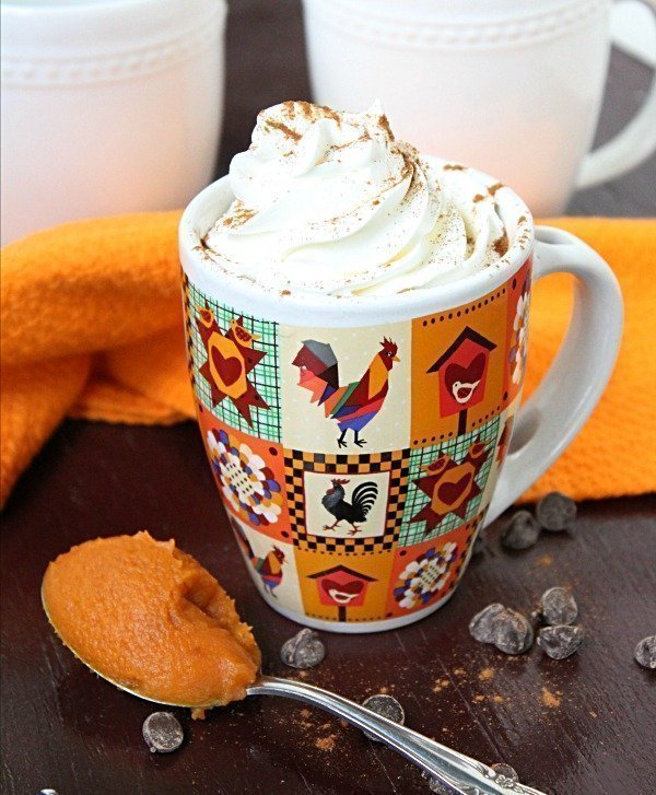 Pumpkin Pie Hot Cocoa #hotcocoa #hotchocolate #pumpkinpie #pumpkin #tableforsevenblog 