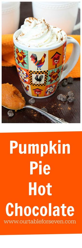 Pumpkin Pie Hot Cocoa #hotcocoa #hotchocolate #pumpkinpie #pumpkin #tableforsevenblog 