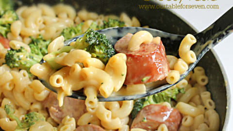 Turkey Kielbasa And Cheesy Pasta Table For Seven Food For You The Family,Hypoestes Care