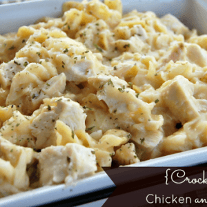 Crock Pot Chicken and Noodles from Table for Seven