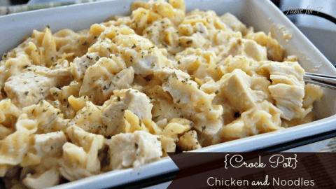 Crock Pot Chicken and Noodles from Table for Seven
