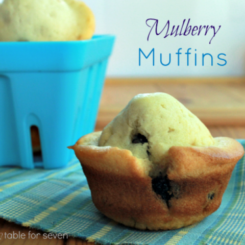 Mulberry Muffins from Table for Seven
