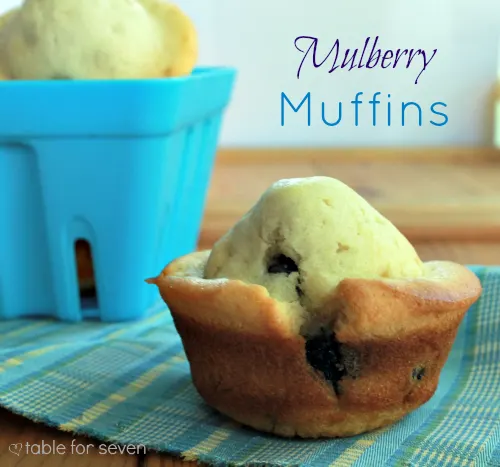 Mulberry Muffins from Table for Seven