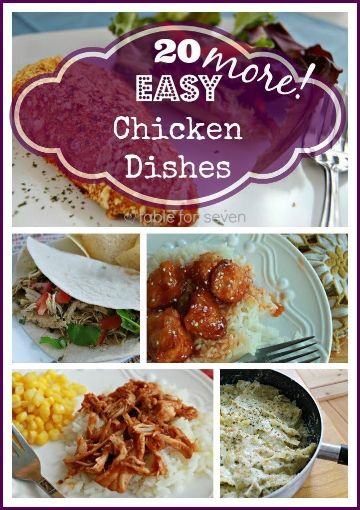 20 {more!} easy chicken dishes