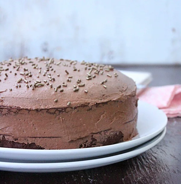 Diet Soda Cake with Chocolate Buttercream Frosting (No Powdered Sugar Required) from Table for Seven