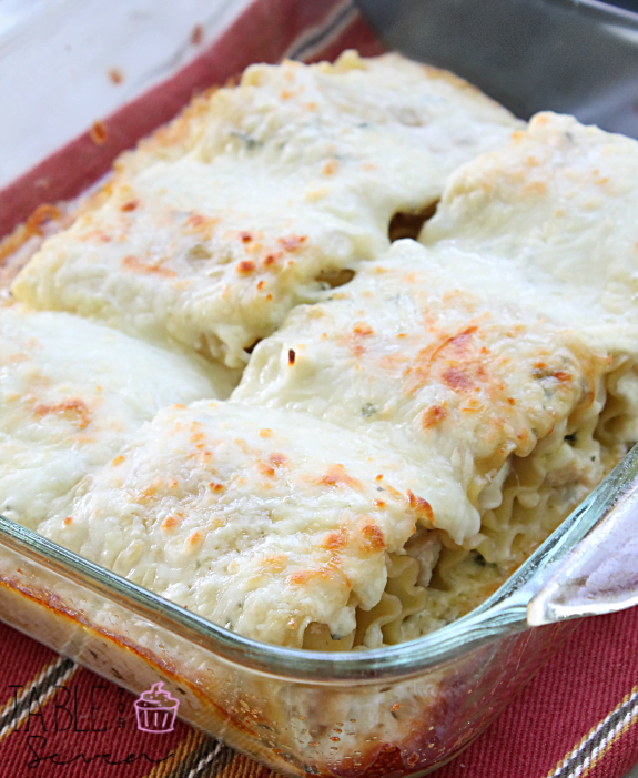 Chicken Alfredo Lasagna Rolls