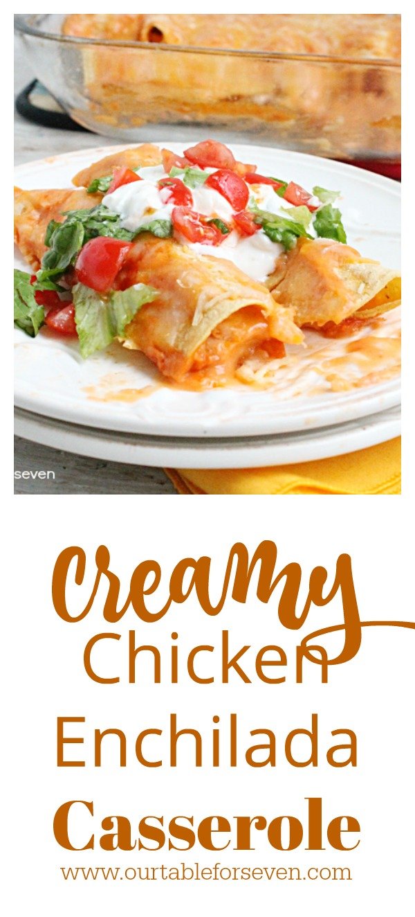 Creamy Chicken Enchilada Casserole from Table for Seven