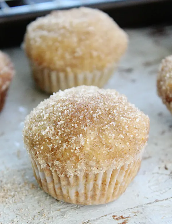 Mini Cinnamon Sugar Applesauce Muffins from Table for Seven