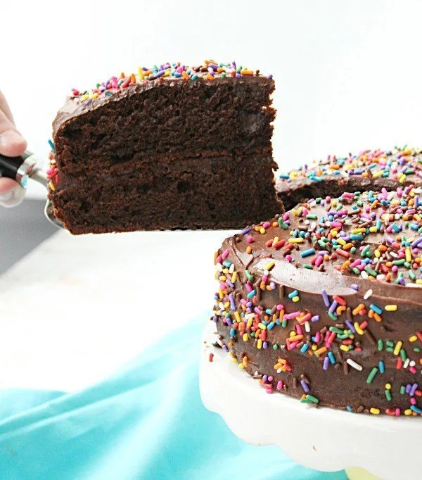 Double Chocolate Fudge Layer Cake from Table for Seven 