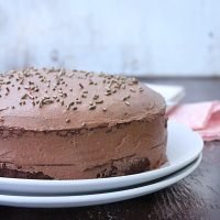 Diet Soda Cake #cake #dietsoda #dietsodacake #dessert #weightwatchers #tableforsevenblog