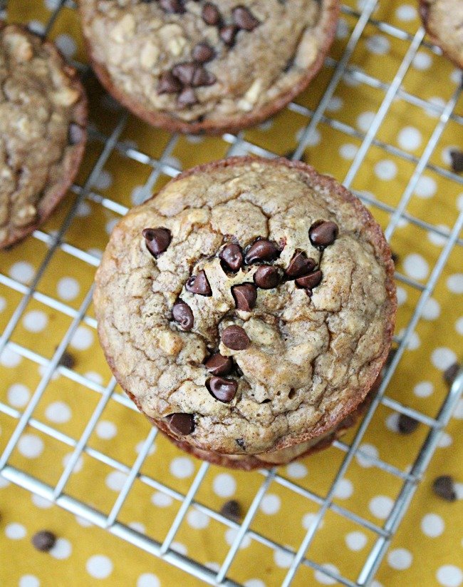 Flourless Chocolate Chip Almond Butter Muffins from Table for Seven
