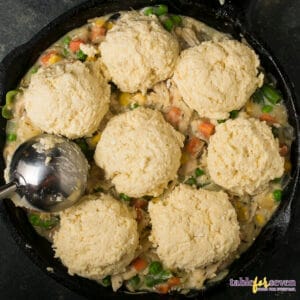 Pioneer Woman Chicken Pot Pie With Biscuits