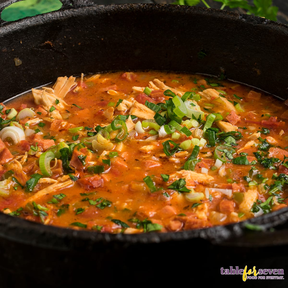 Close-up of chicken and sausage gumbo cooking in a Dutch oven