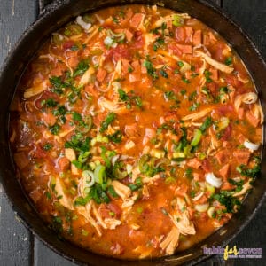 Pioneer Woman Chicken And Sausage Gumbo green onions