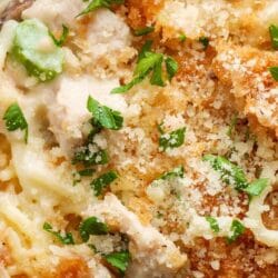 Poppy Seed Chicken Casserole Pioneer Woman