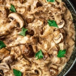 Pioneer Woman Beef Stroganoff