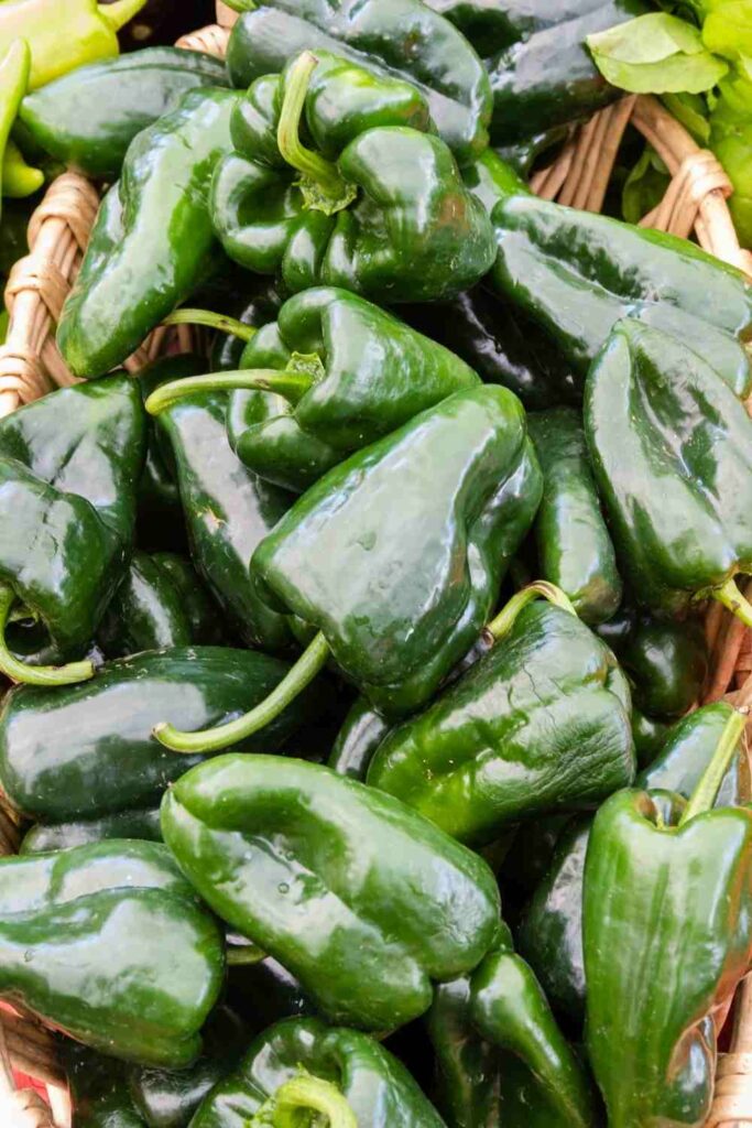 Poblano Peppers