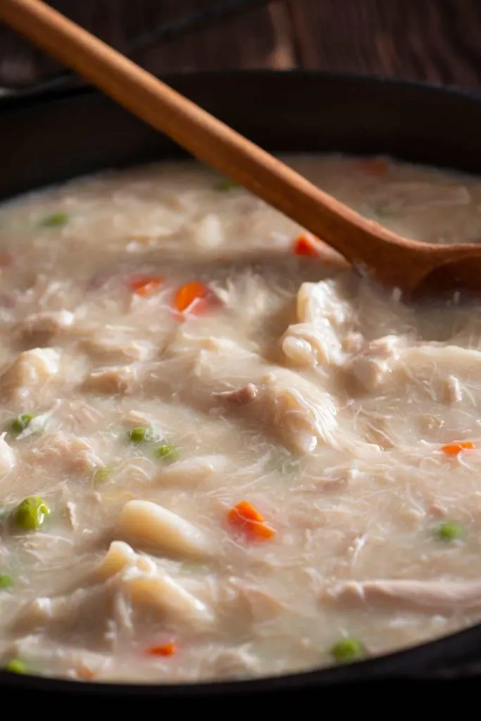 Pioneer woman dutch oven chicken and dumplings like grandma