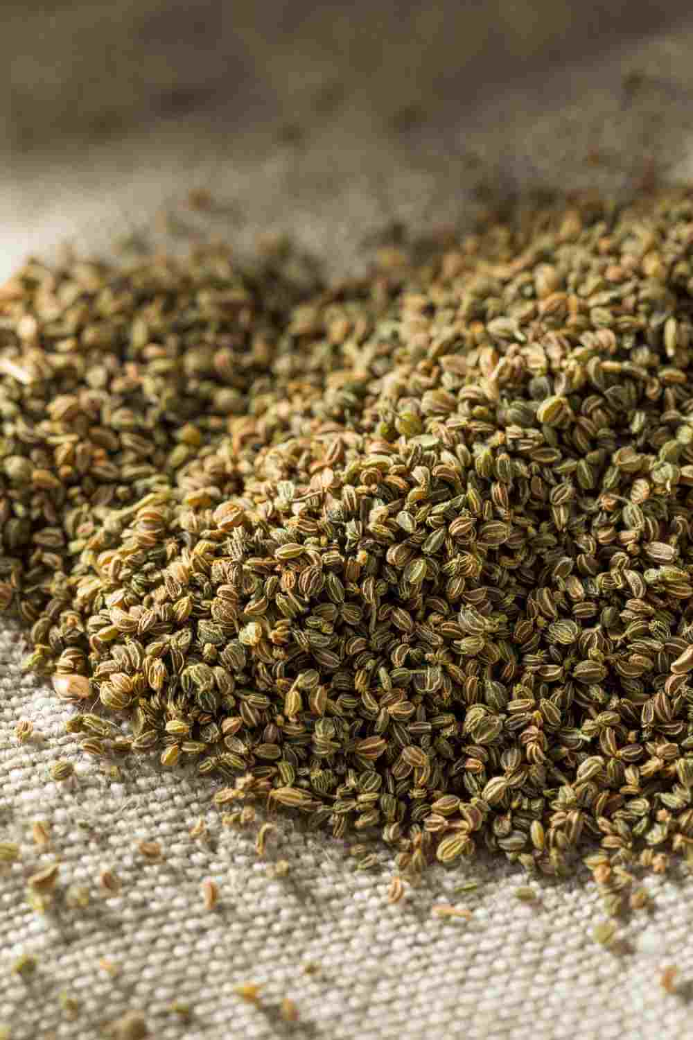 Celery Seed Substitutes