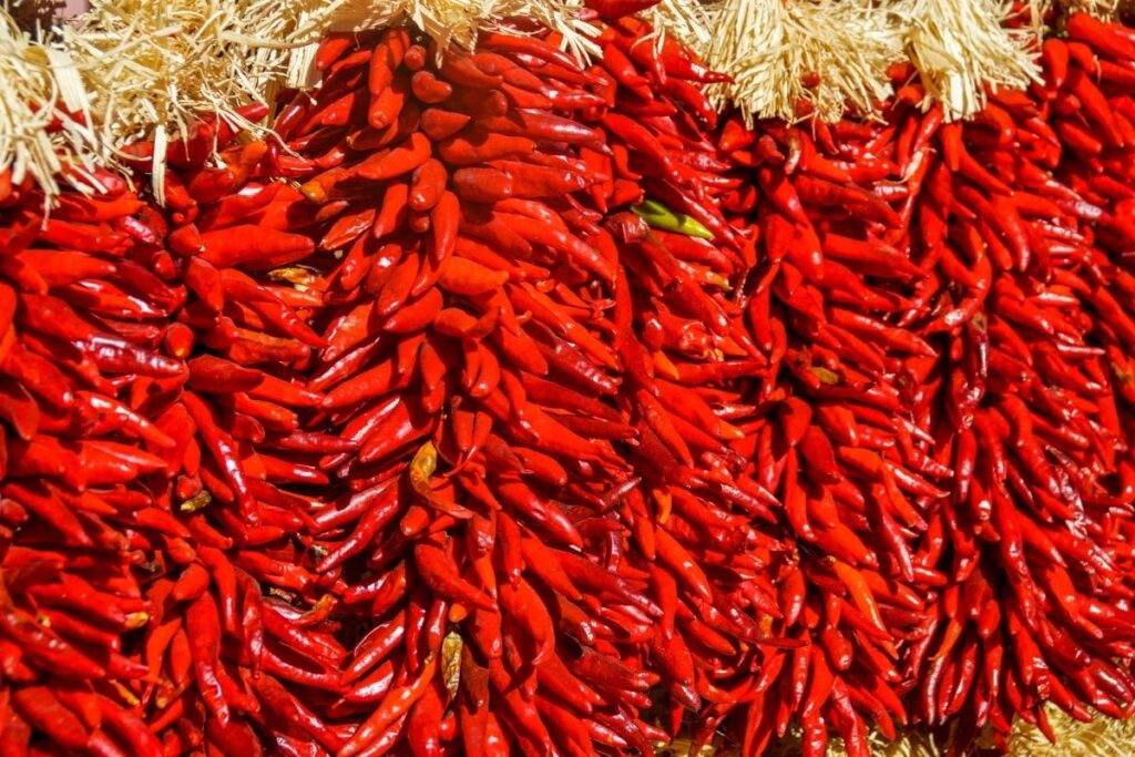 New Mexico Chilies