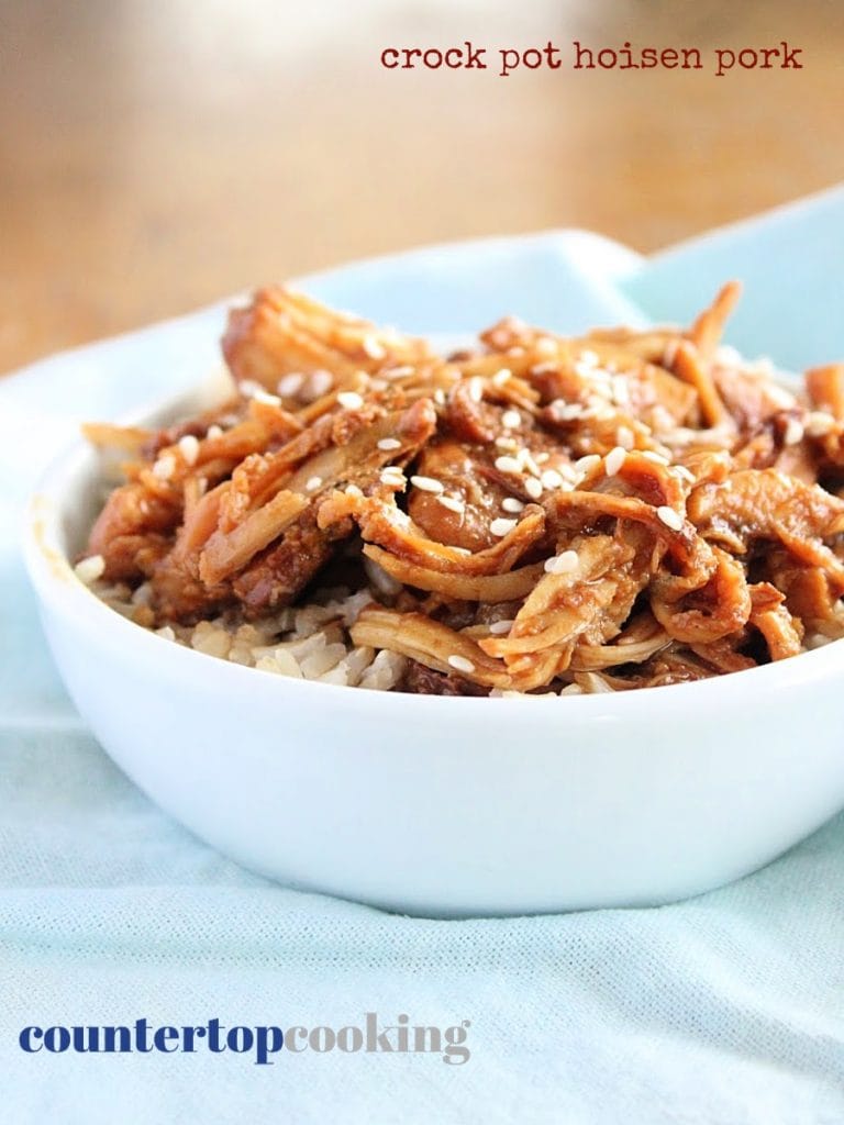 Crock Pot Hoisen Pork pin image