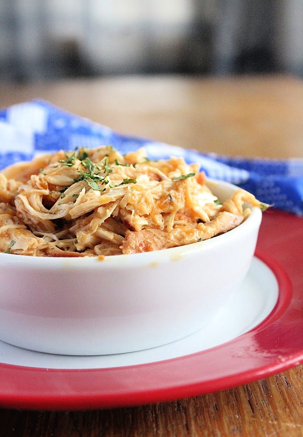 Crock Pot Zesty Italian Chicken Table for Seven