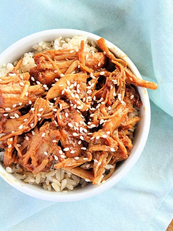 Crock Pot Hoisen Pork