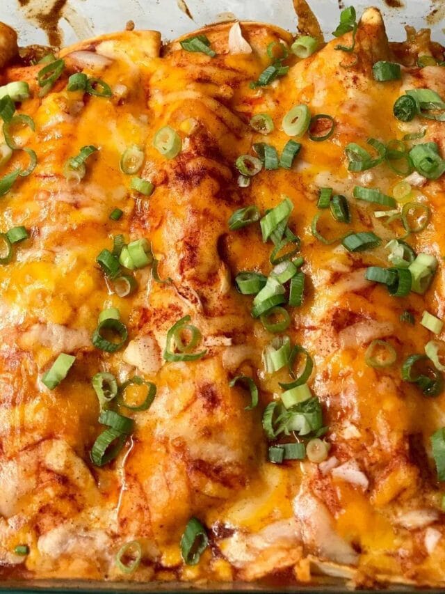 Pioneer Woman Chicken Enchilada Casserole Table for Seven