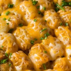 Pioneer Woman Tater Tot Casserole