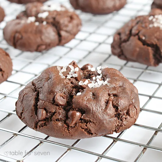 Coconut Oil and Sea Salt Brownie Cookies close-up