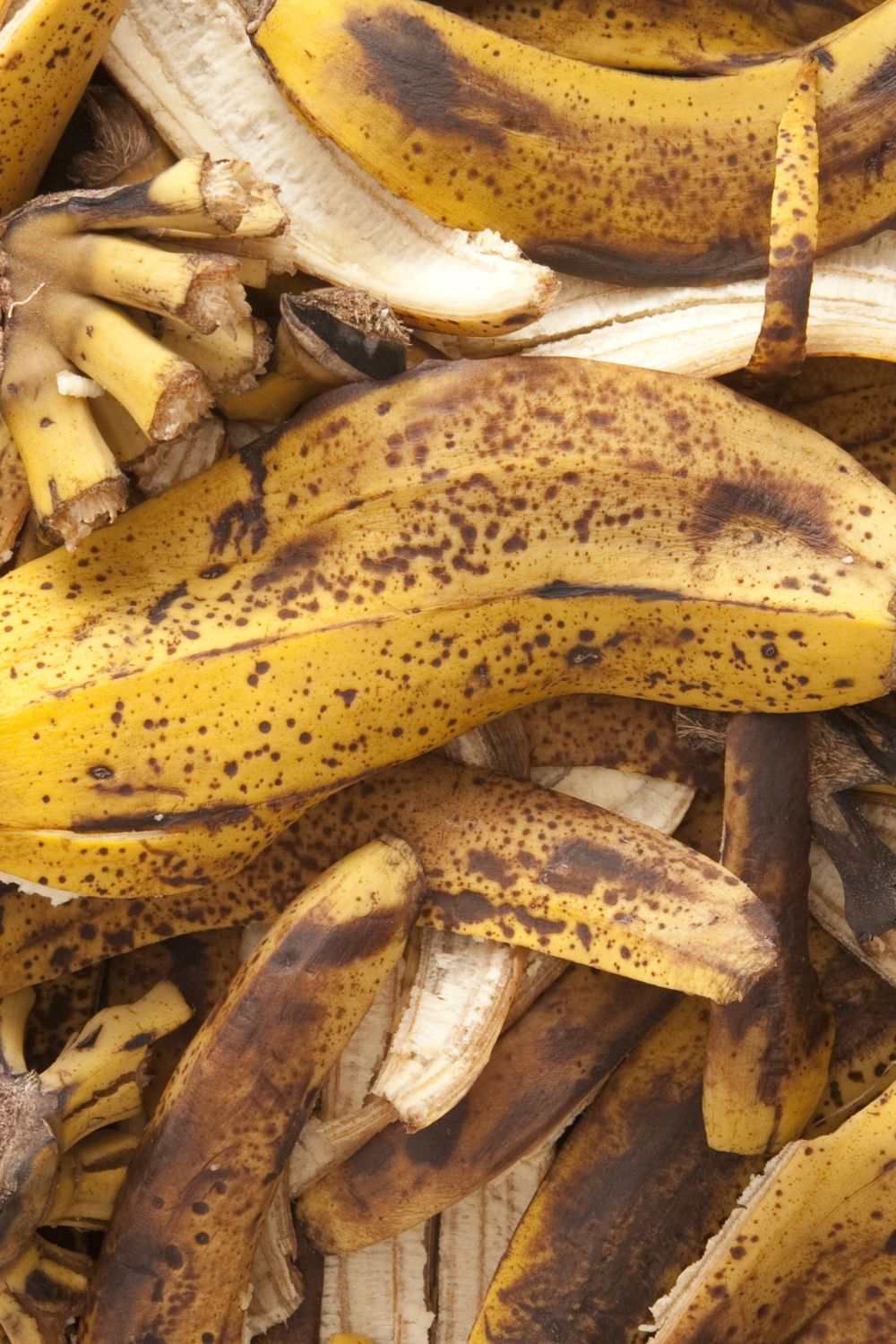 Banana Peel Recipes