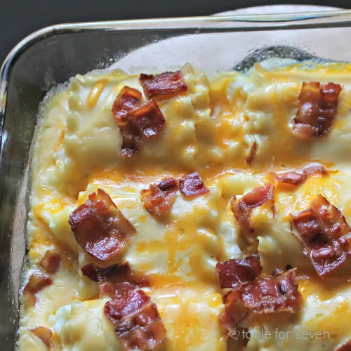 Pierogi Lasagna Rolls close-up