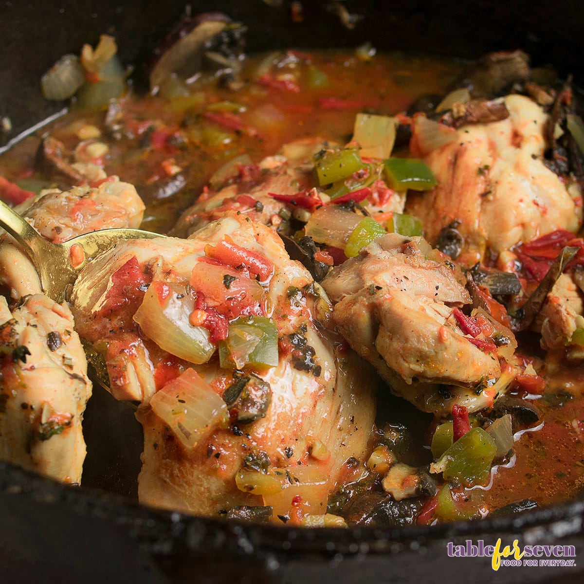 Chicken Cacciatore with vegetables, mushrooms, and rich tomato sauce