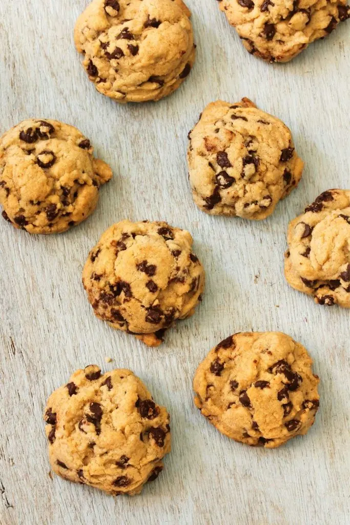 Trader Joes Chocolate Chip Cookies Recipe