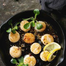 Gordon Ramsay Scallop Recipe