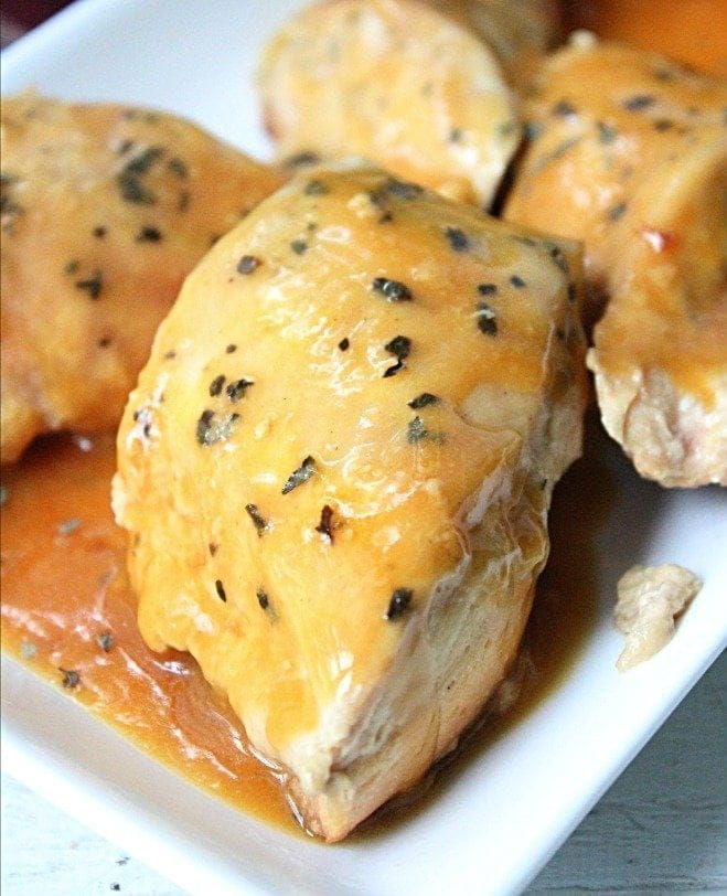 crock pot  honey mustard chicken