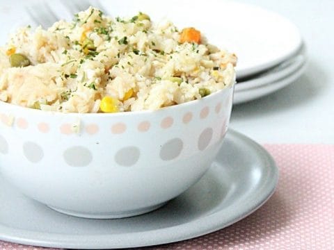 turkey rice slow cooker