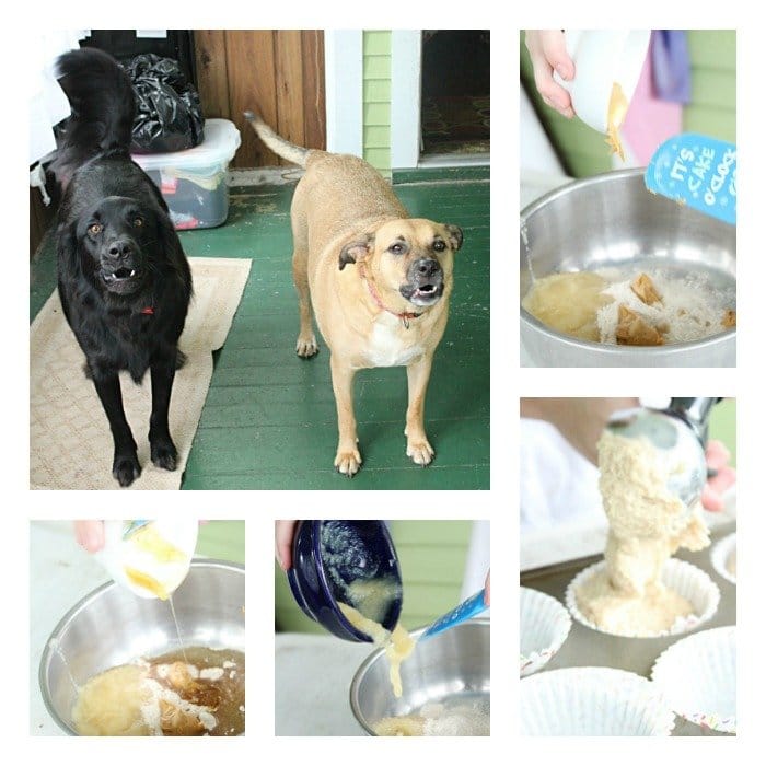 Peanut Butter Dog Cupcakes #peanubutter #dogtreats #dogcupcakes #honey