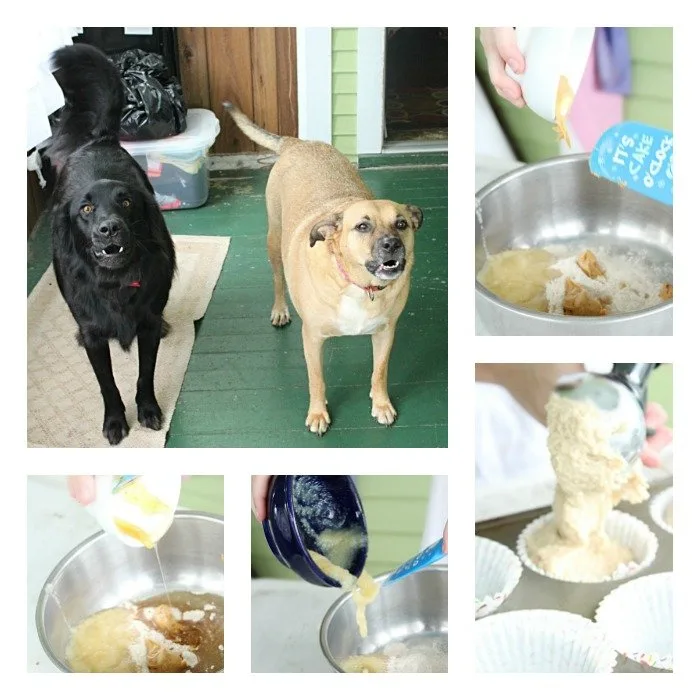 Peanut Butter Dog Cupcakes #peanubutter #dogtreats #dogcupcakes #honey