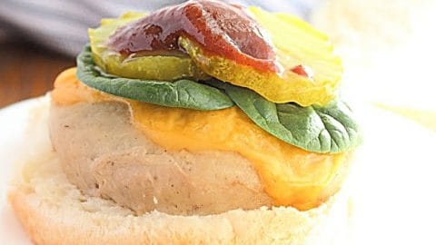 Frozen turkey burger online instant pot