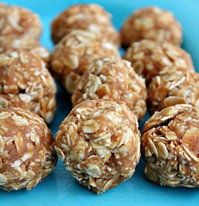 Peanut Butter Oatmeal Dog Treats 