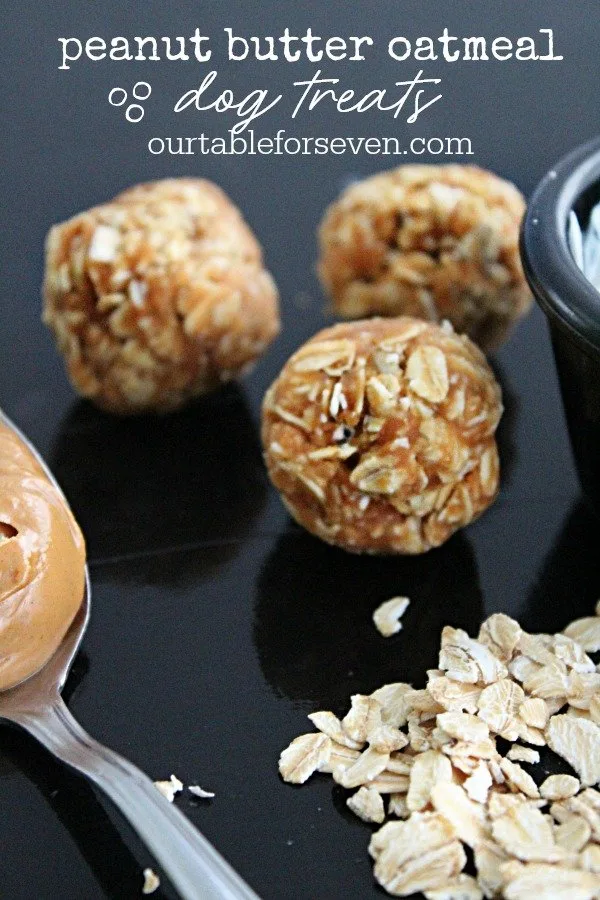 Peanut butter balls 2024 for dogs recipe