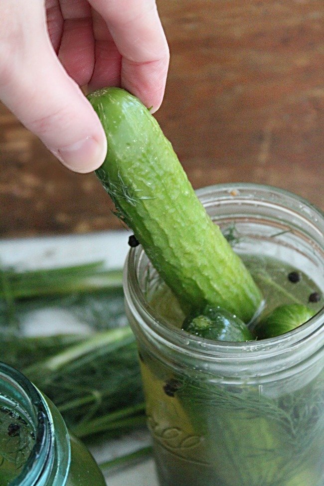 Refrigerator Dill Pickles- Table for Seven #pickles #dill #dillpickles