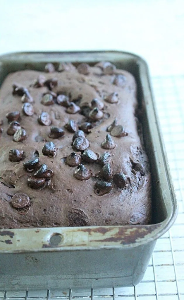 Three Ingredient Chocolate Quick Bread #quickbread #chocolate